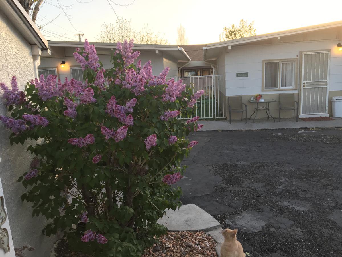 Midway Motel Caliente Kültér fotó